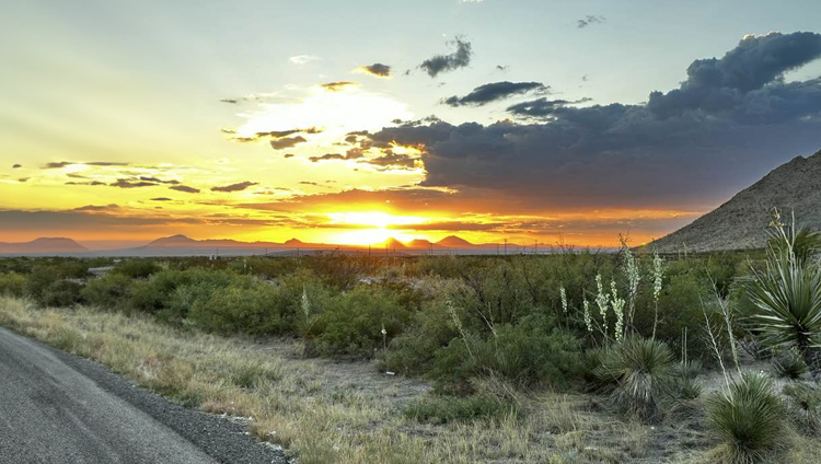 DesertSunset
